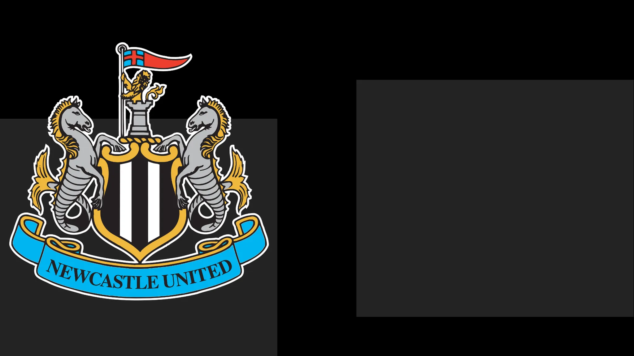 Newcastle Issue Formal Apology to Followers Following Ticket Controversy